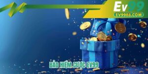 Bảo hiểm cược EV99