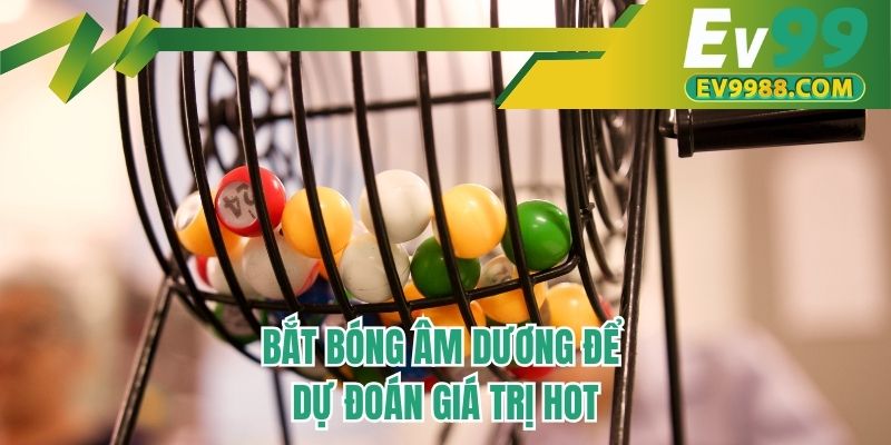 Bắt bóng âm dương để dự đoán giá trị hot