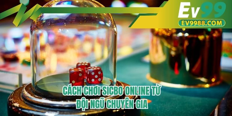 Cách chơi Sicbo online từ đội ngũ chuyên gia
