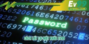 Cách lấy lại mật khẩu EV99
