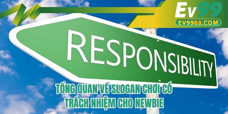 Tổng quan về slogan chơi có trách nhiệm cho newbie
